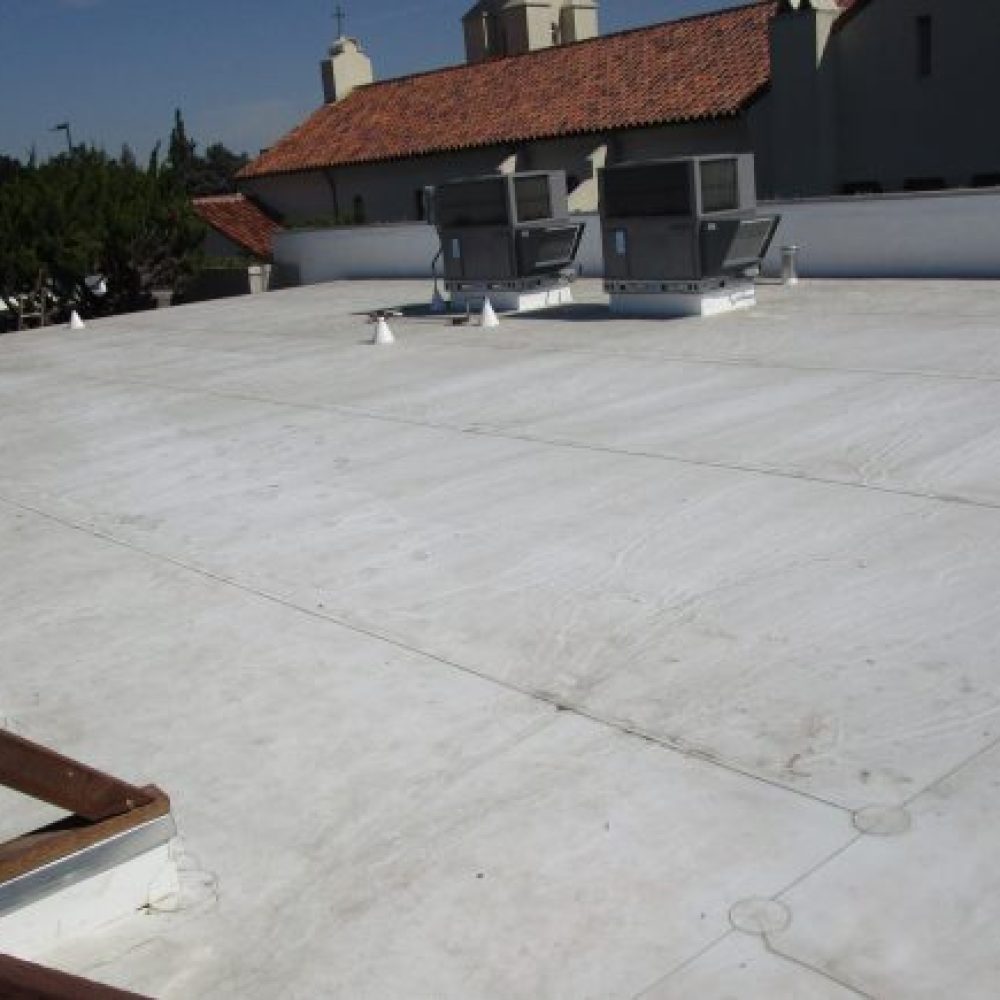 single-ply01-770x435